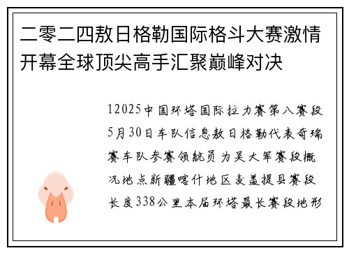二零二四敖日格勒国际格斗大赛激情开幕全球顶尖高手汇聚巅峰对决